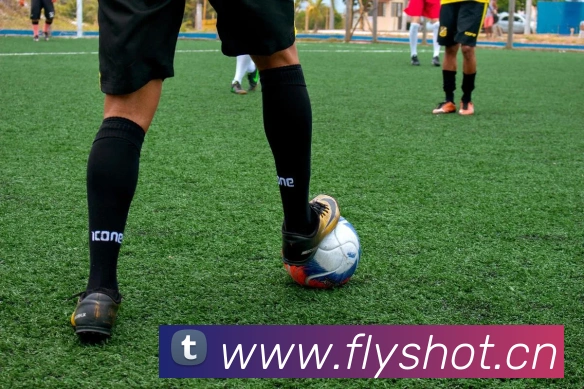 多媒体互动体验