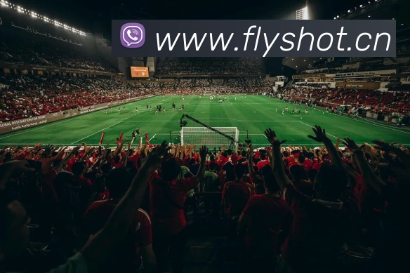 巅峰国际app官方正版APP 体育赛事宣传图